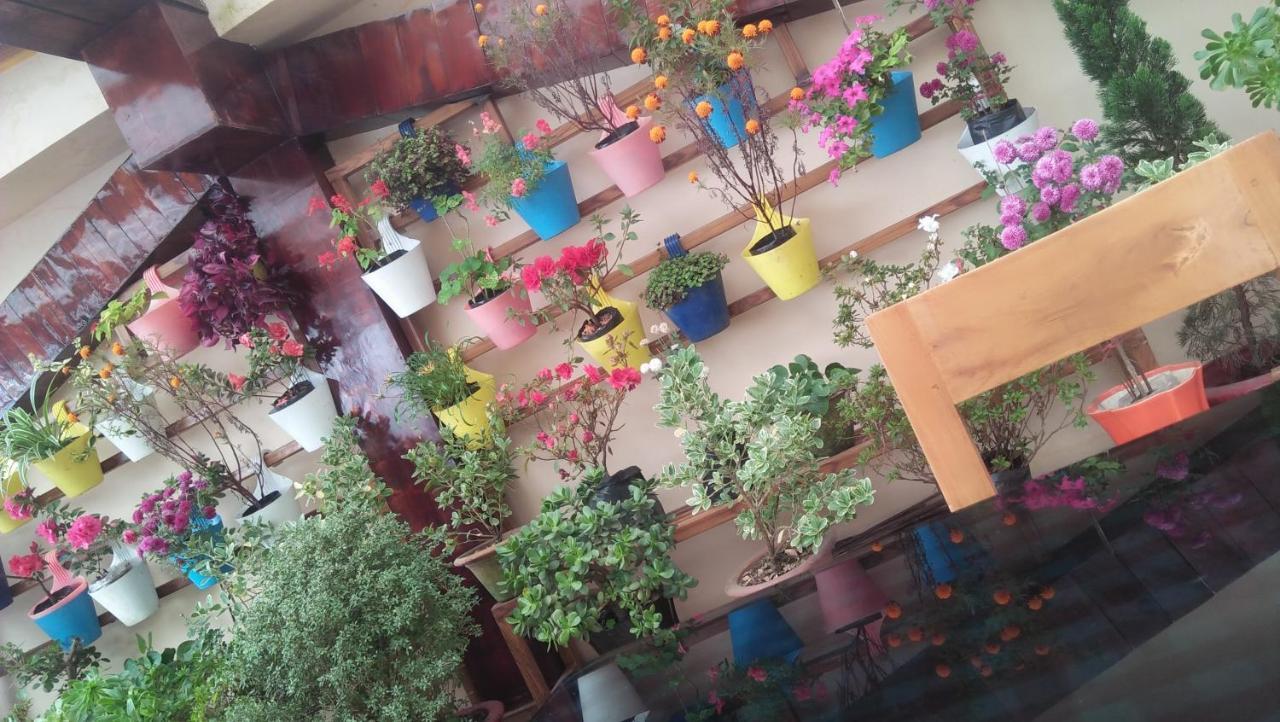 Shalom Inn Home Stay 다르질링 외부 사진