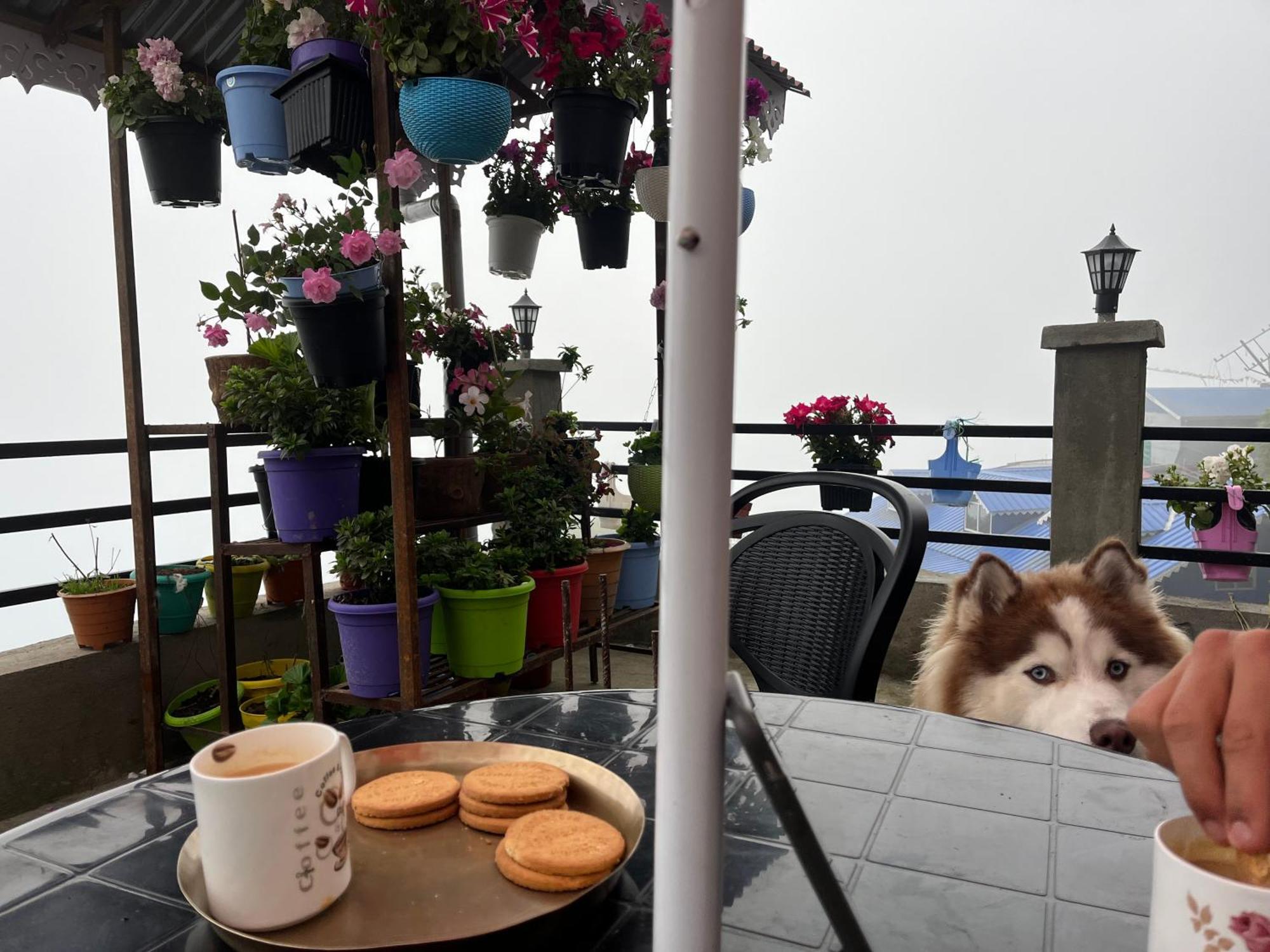 Shalom Inn Home Stay 다르질링 외부 사진